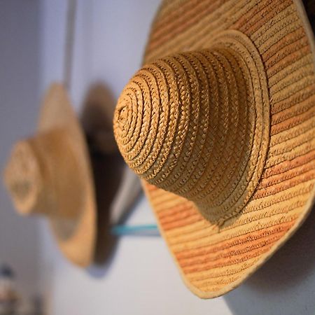 Maisonnette Au Pied De L'Ocean Avec Terrasse Biscarrosse Eksteriør bilde